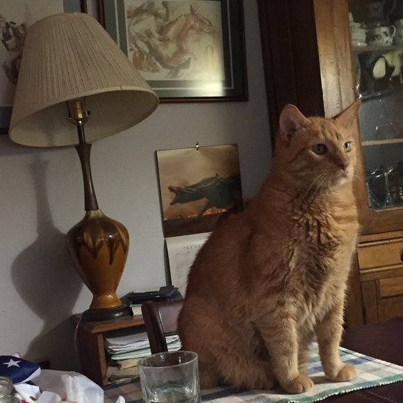 Meet your Posher, Mary - Picture 2 of 3